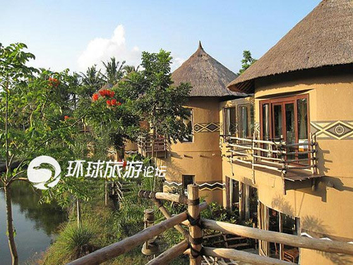 Dùng bữa cùng… dã thú